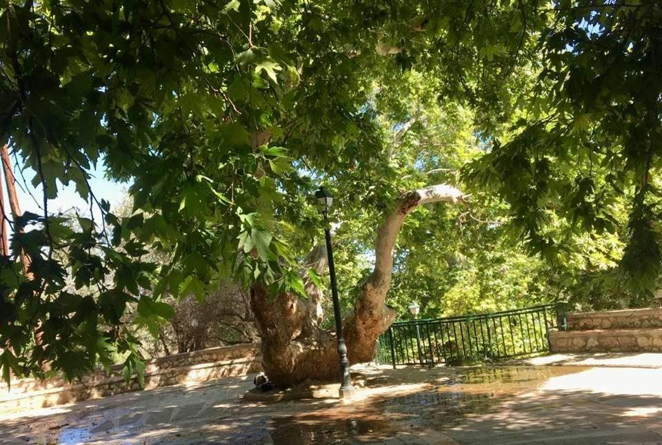 Ioli'S Apartments Archangelos (Rhodes) Exterior foto